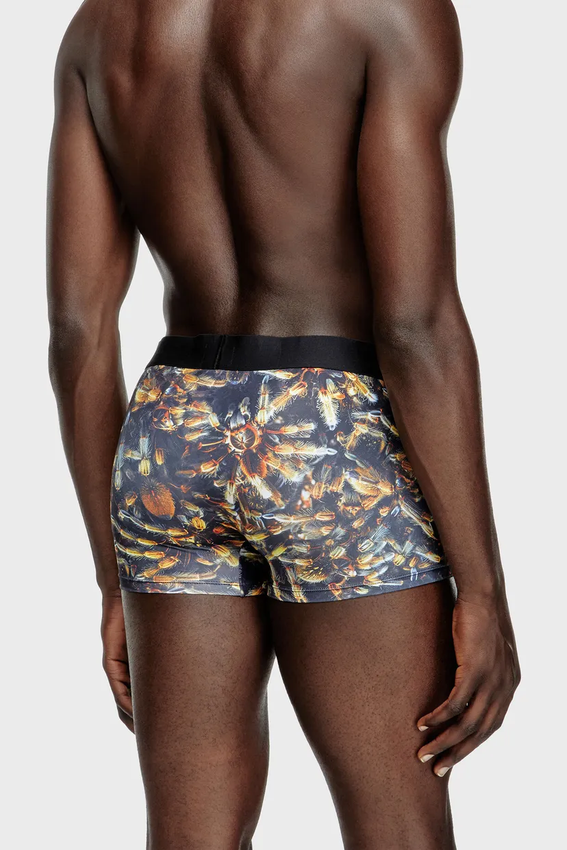 Pantaloni scurti/DAMIEN-D-POP-40 BOXERS 3