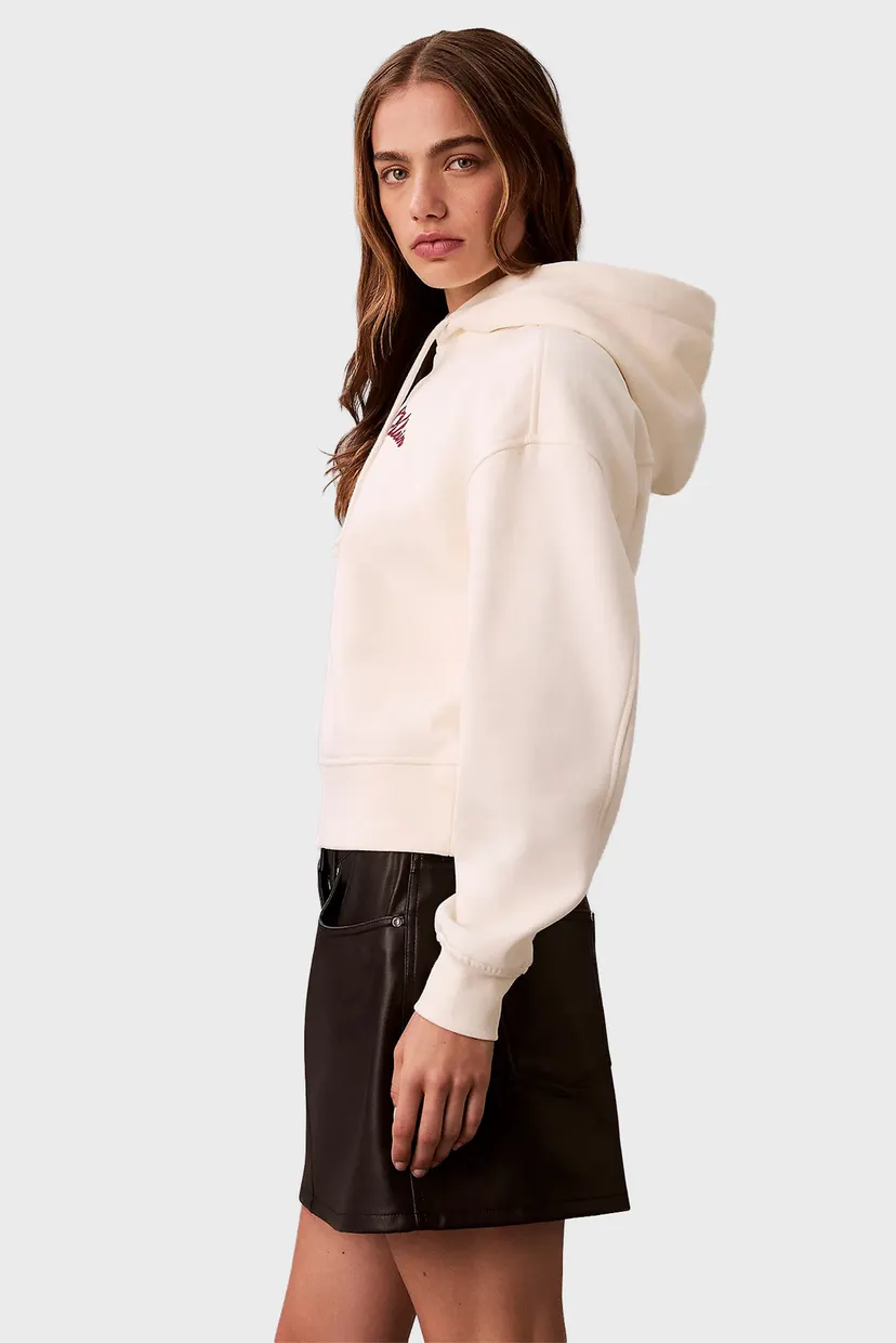 Hanorac/LS CROP GRAPHIC HOODIE 3