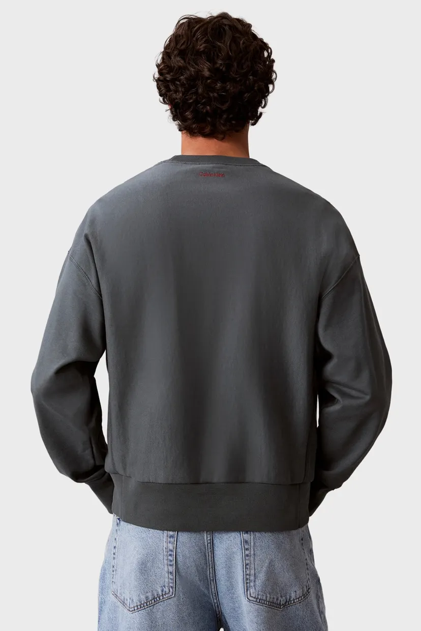 Hanorac/LS PREMIUM TERRY GRPH CREWNECK 3