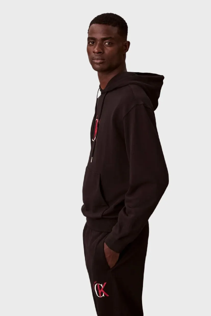 Hanorac/LS EU 350TERRY GRAPHIC HOODIE 3
