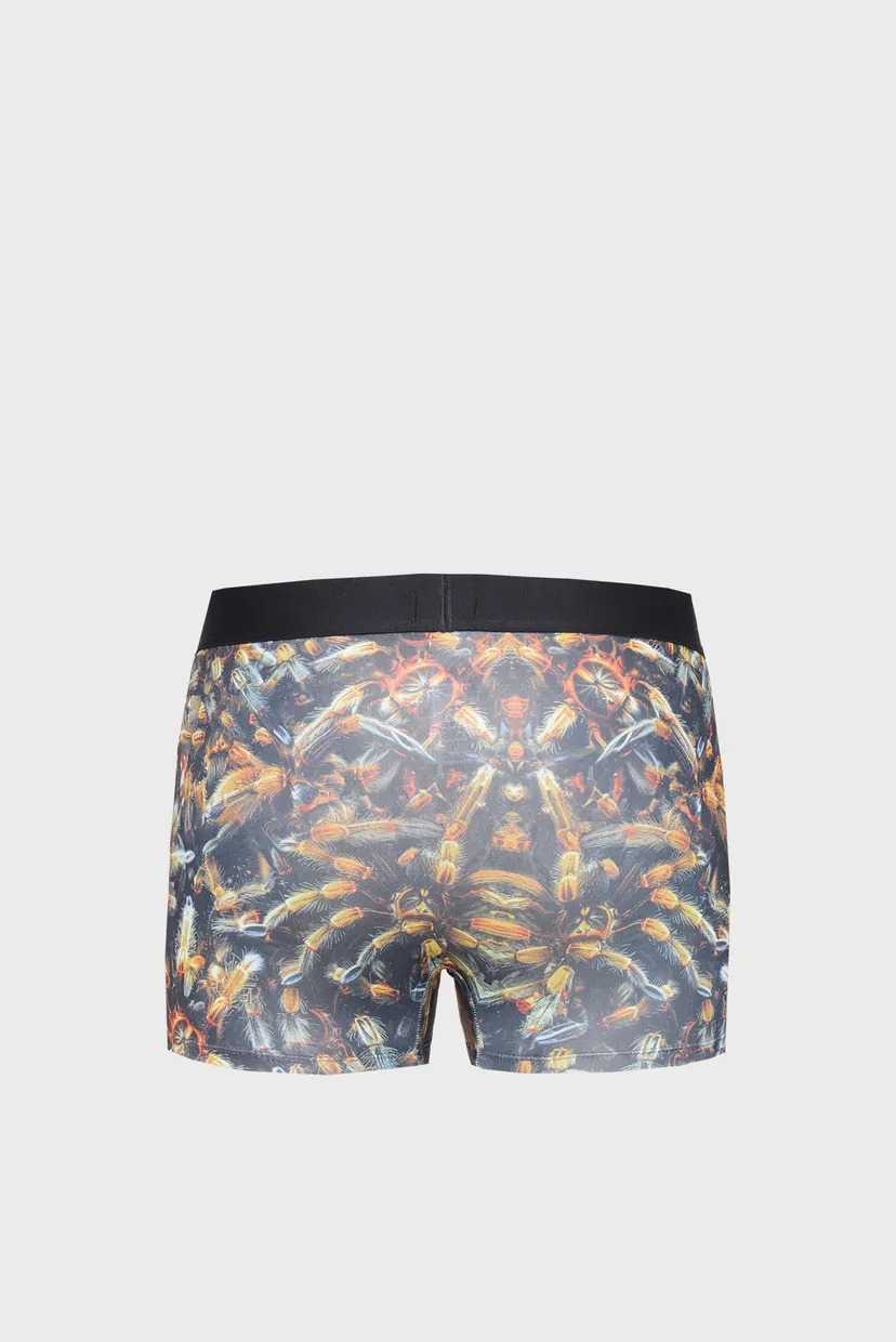 Pantaloni scurti/DAMIEN-D-POP-40 BOXERS 6