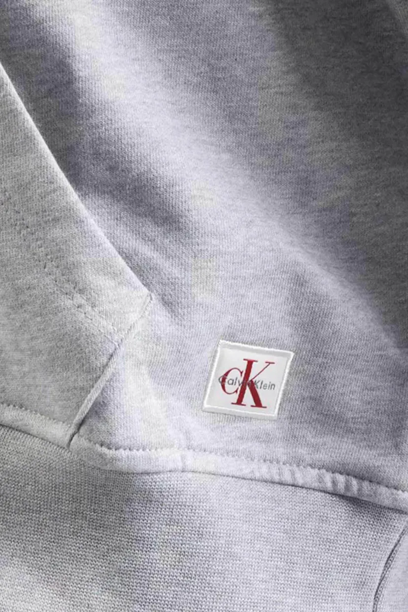 Raglan/FRENCH TERRY WOVEN LABEL FZ HOOD 3