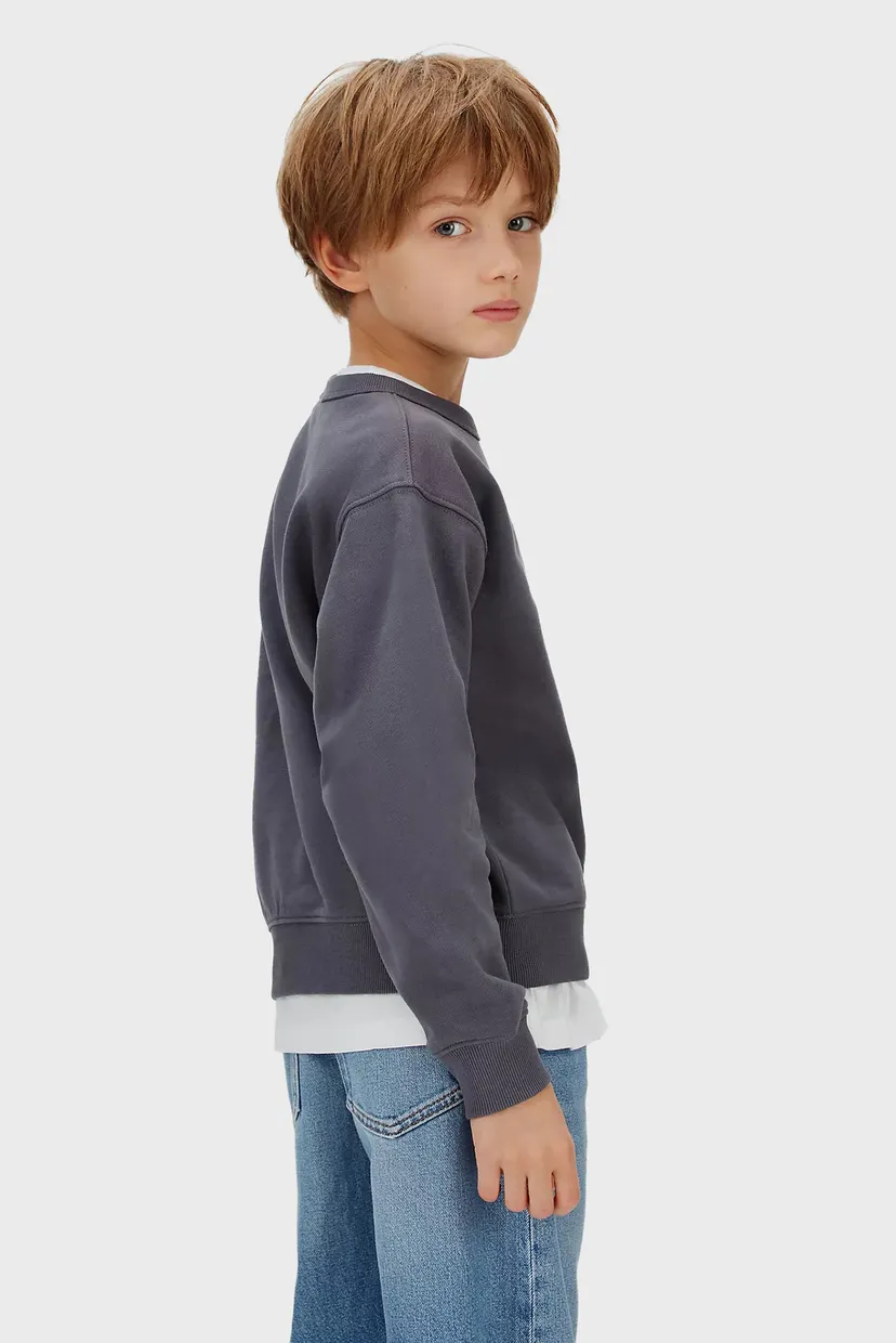 Hanorac/VARSITY CN SWEATSHIRT 3