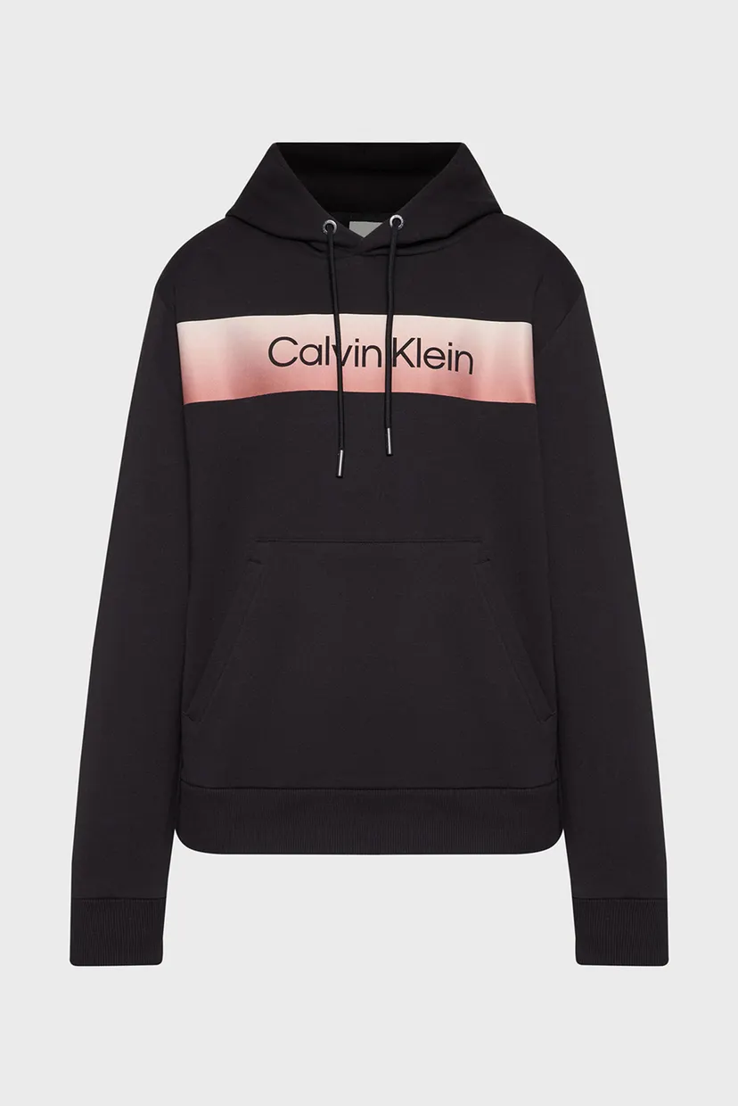 Худи/LINEAR OMBRE CHEST LOGO HOODIE 5