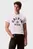 Tricou/SS 20S LN CALVIN COLLEGE GRAPHIC