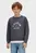Свитшот/VARSITY CN SWEATSHIRT