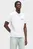 Polo/KLJ REGULAR PIQUE POLO