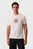 Tricou/SS 30S WHSL CKJ 2TONE CK GRAPHIC